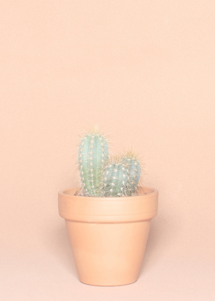 © Elsa Le Saux